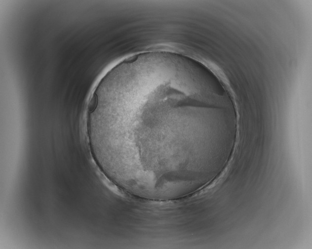 X0000115660816200911191004
