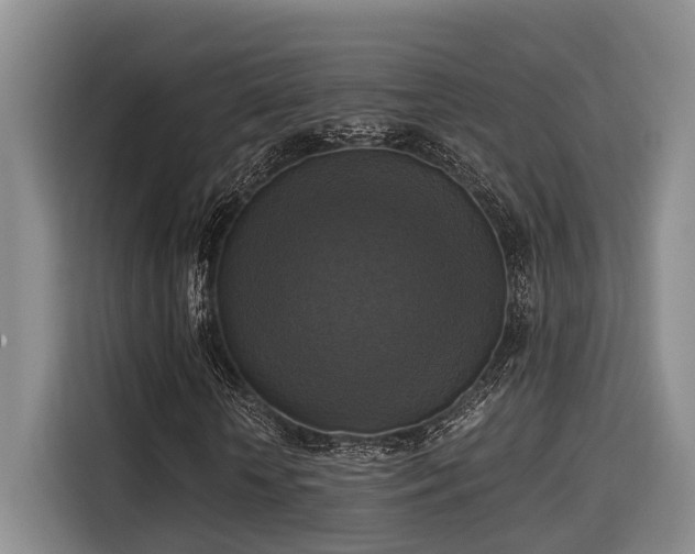 X0000115660818200911191003