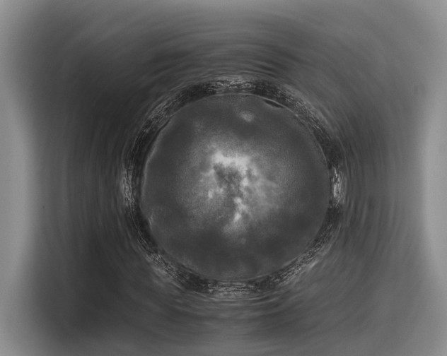 X0000115660819200911191003