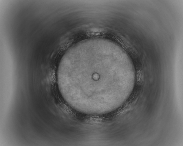 X0000115660820200911191003