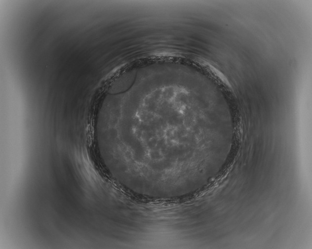 X0000115660821200911191003