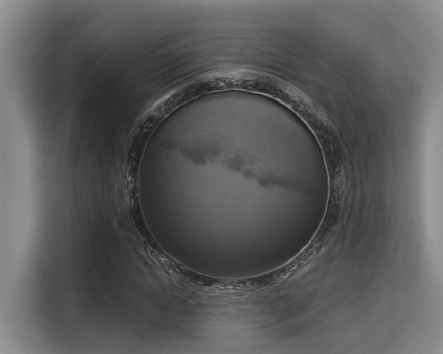 X0000115660822200911191003