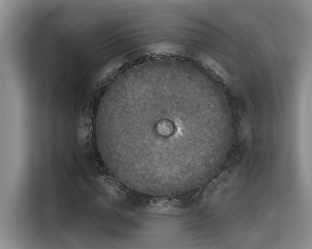 X0000115660824200911191003