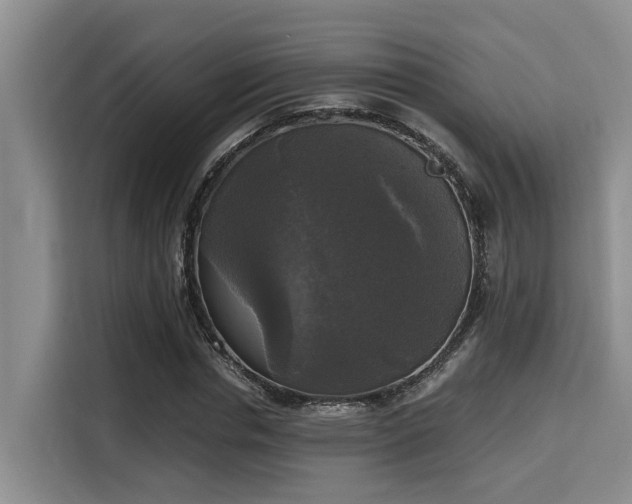 X0000115660826200911191003