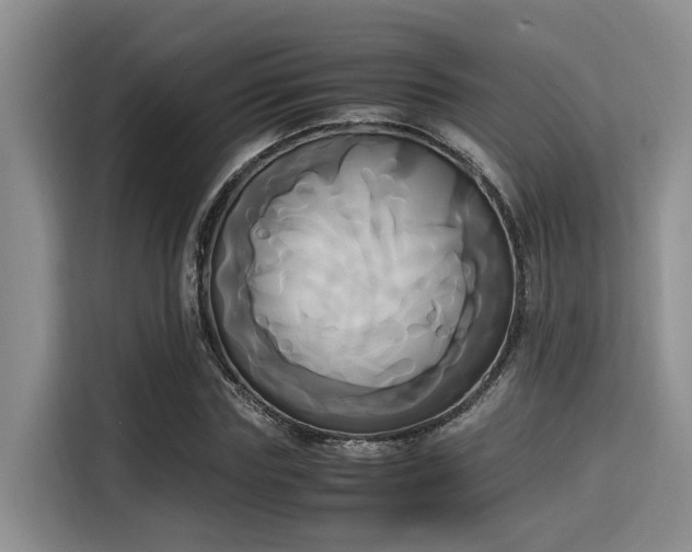 X0000115660827200911191003