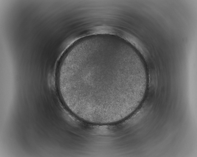 X0000115660828200911191003