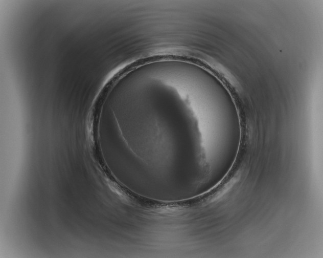 X0000115660830200911191003