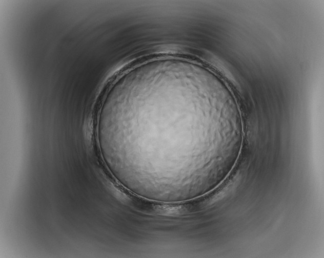 X0000115660831200911191003