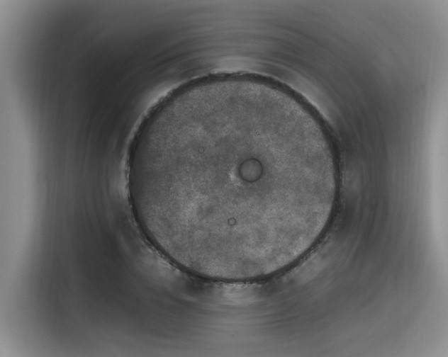 X0000115660832200911191003