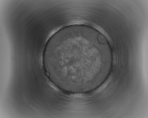 X0000115660834200911191003