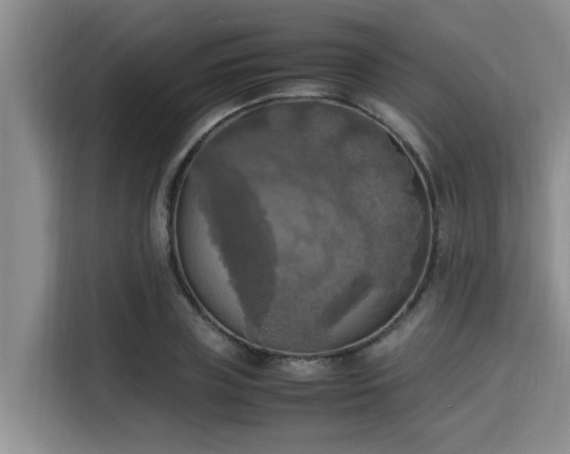 X0000115660835200911191003