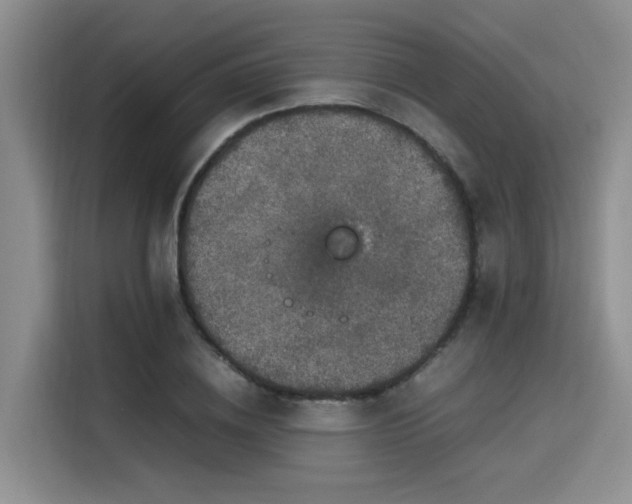 X0000115660836200911191003