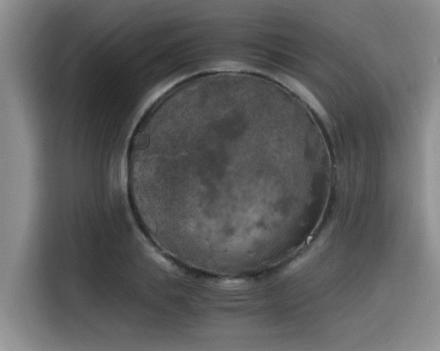 X0000115660839200911191003