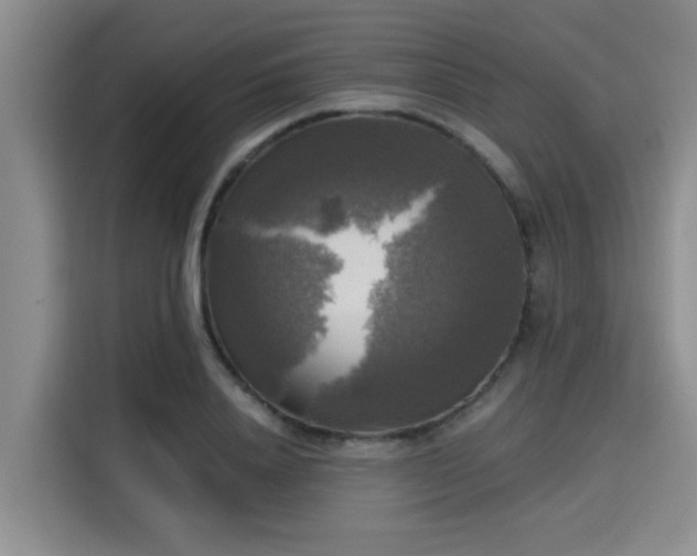 X0000115660840200911191003