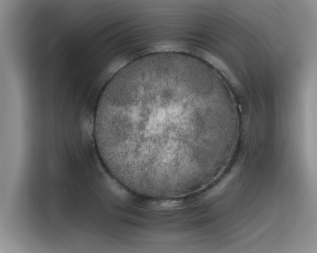 X0000115660841200911191003