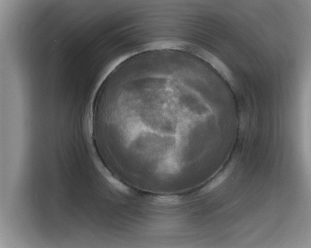 X0000115660844200911191003