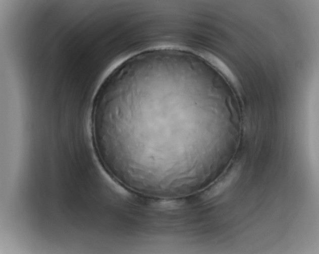 X0000115660847200911191003