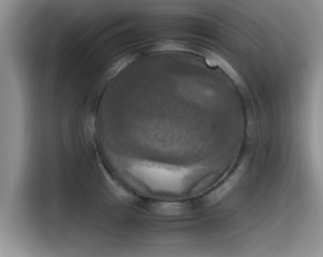 X0000115660849200911191003