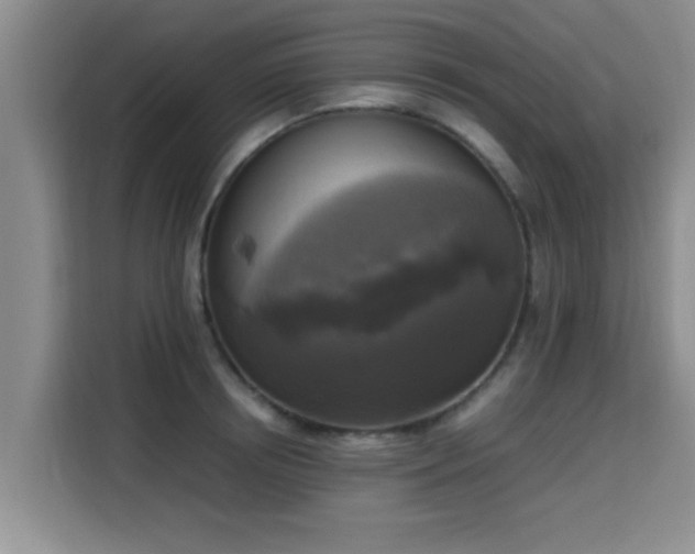 X0000115660850200911191003