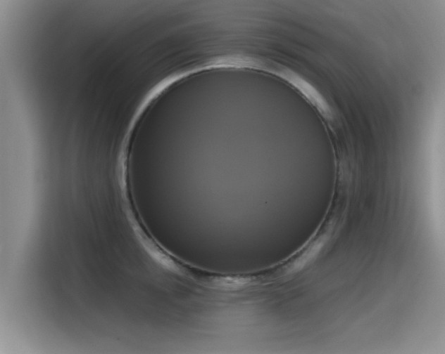 X0000115660854200911191004