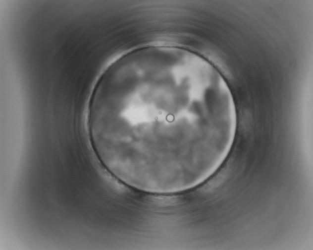 X0000115660856200911191004