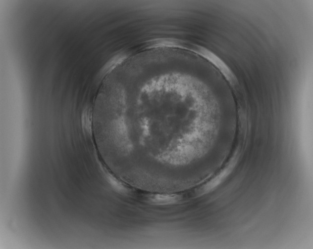 X0000115660857200911191004