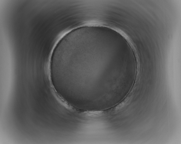 X0000115660864200911191004