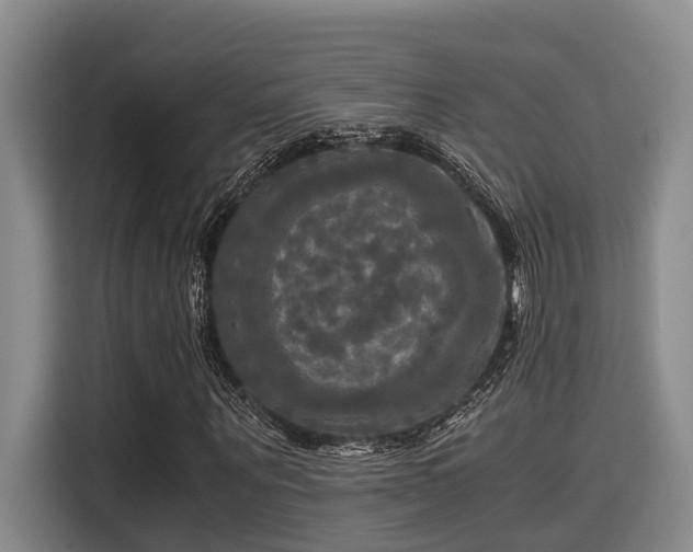 X0000115660867200911191003