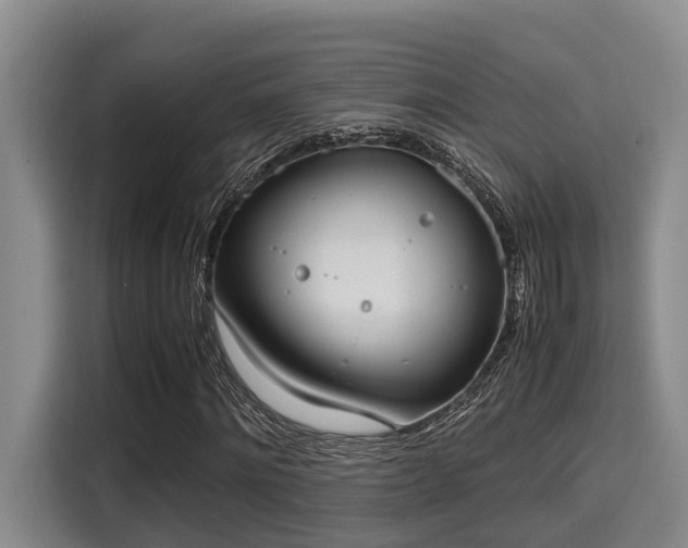 X0000115660868200911191003
