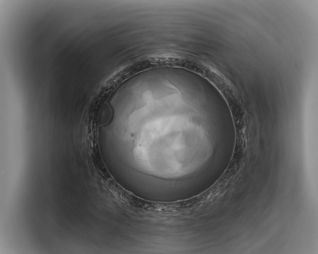 X0000115660870200911191003
