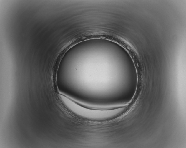 X0000115660873200911191003