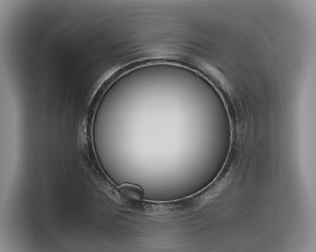 X0000115660875200911191003