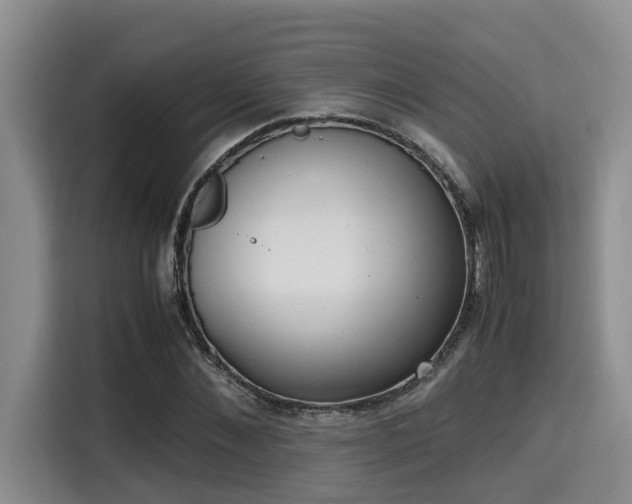 X0000115660876200911191003