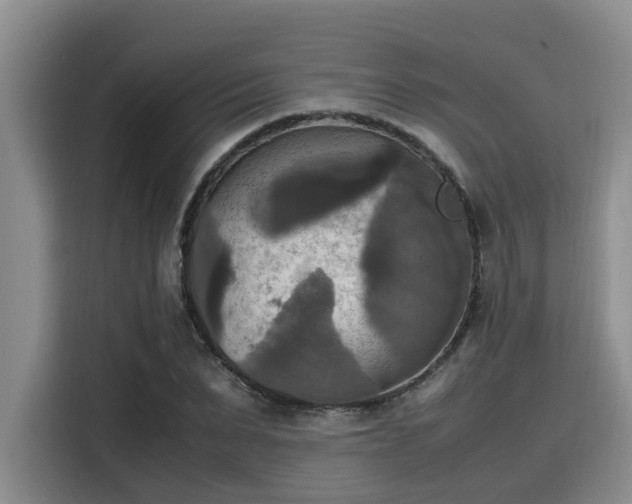 X0000115660879200911191003