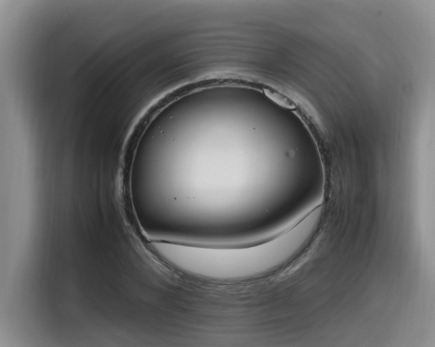 X0000115660880200911191003