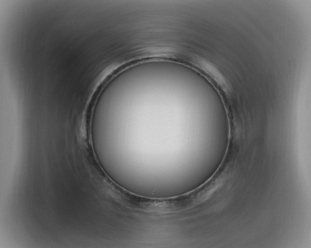 X0000115660883200911191003