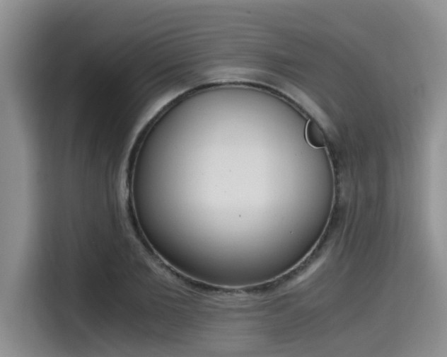 X0000115660885200911191003