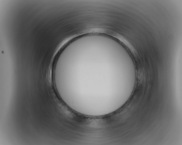 X0000115660886200911191003
