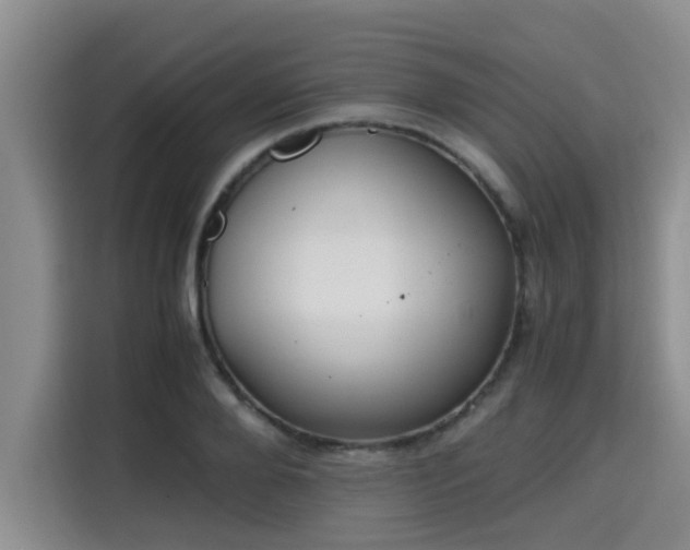 X0000115660888200911191003