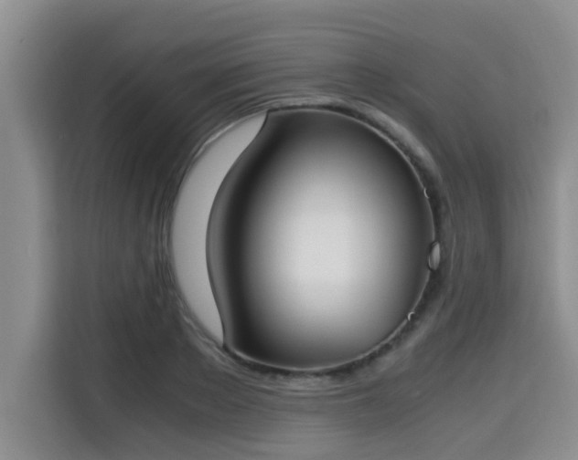 X0000115660889200911191003