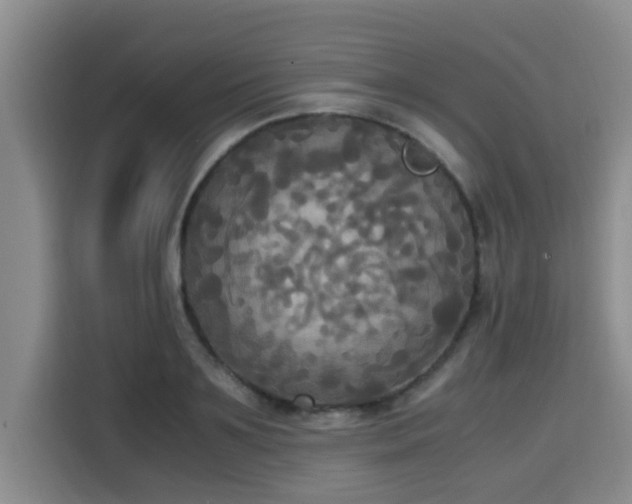 X0000115660891200911191003