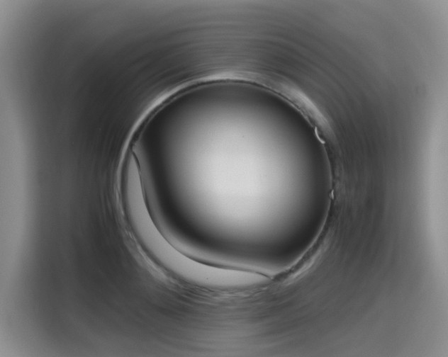 X0000115660892200911191003