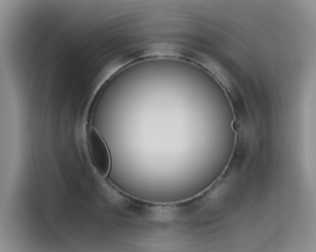 X0000115660893200911191003