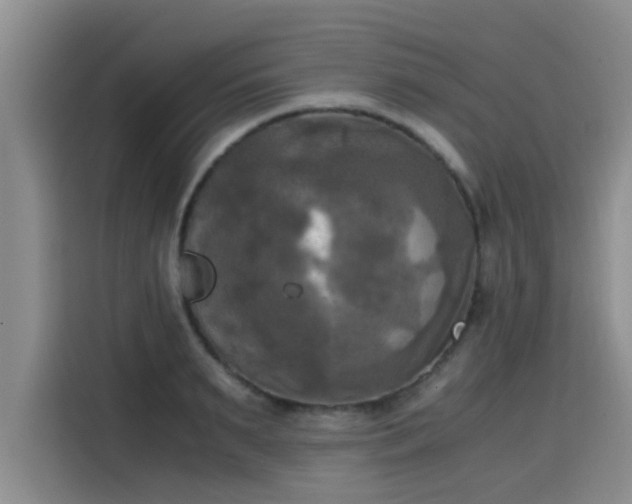 X0000115660895200911191003