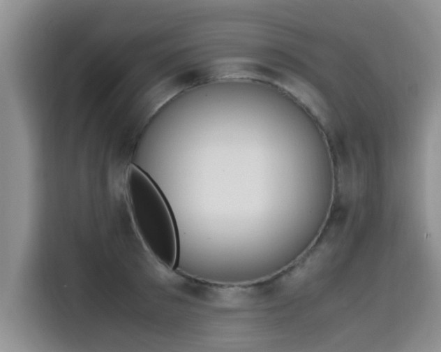 X0000115660897200911191003