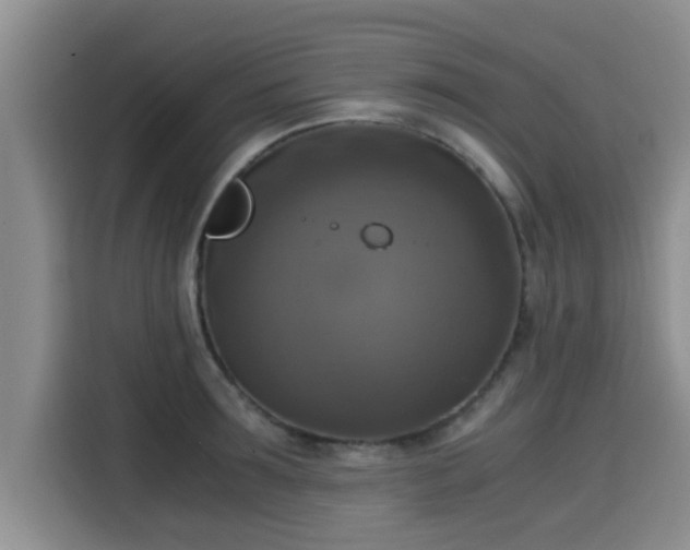 X0000115660899200911191003