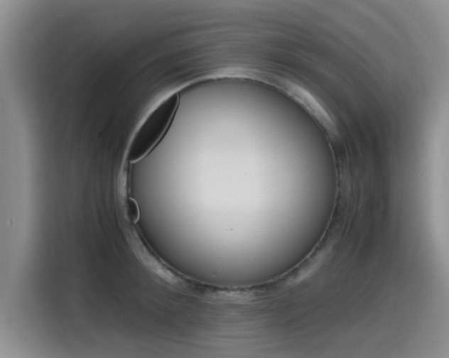 X0000115660900200911191003