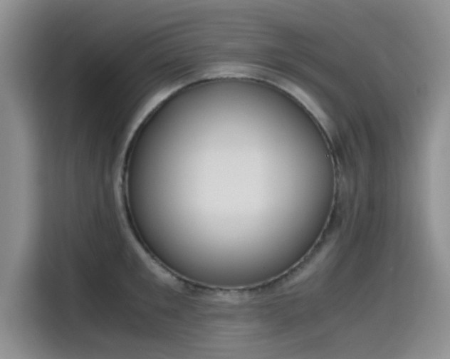 X0000115660901200911191003