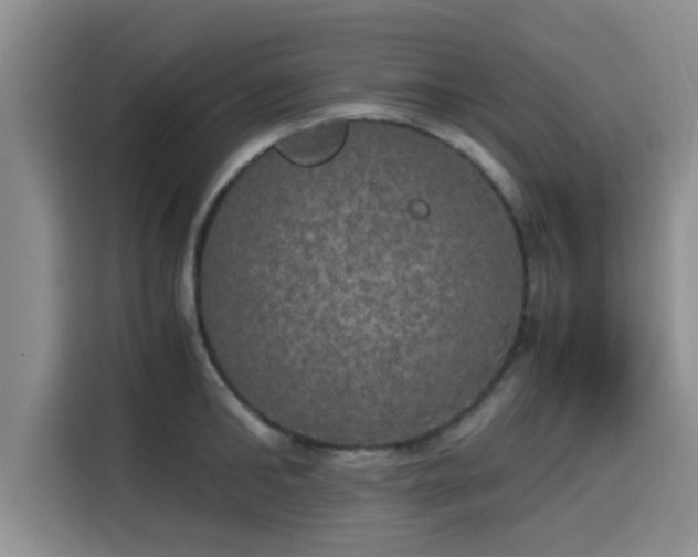 X0000115660902200911191003
