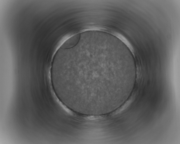 X0000115660906200911191002